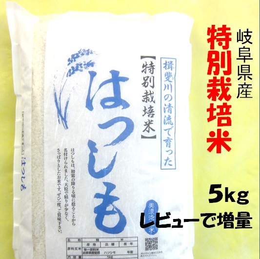 令和６年産 特別栽培米 岐阜県産 ハツシモ 白米５Kg（分搗き可）レビューで増量 【送料無料】北海道・沖縄・離島は追加送料