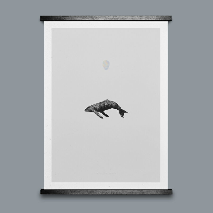 PAPER COLLECTIVE WHALE REPRISE ポスター ポスターWHALE REPRISE ポスター 50cm×70cm / PAPER COLLECTIVE