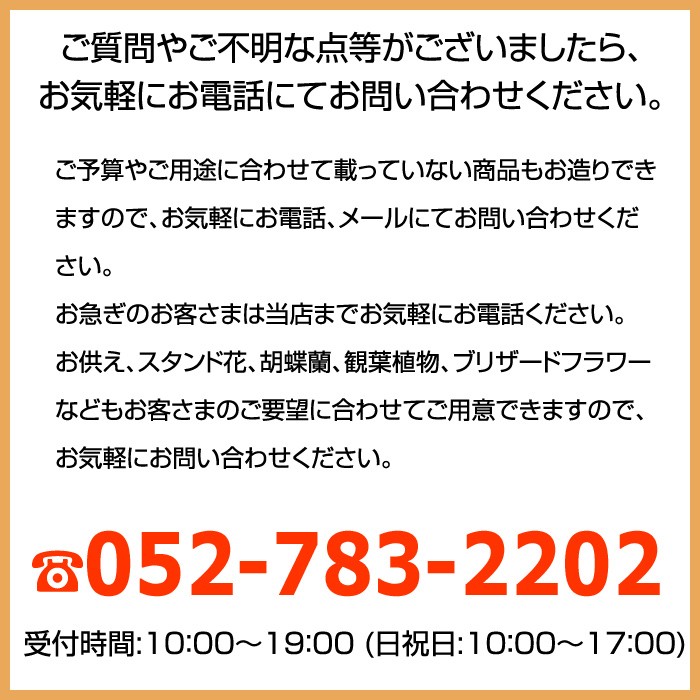 9087円 【91%OFF!】 Sissiオリジナルフラワーボックス WLサイズ長方形 お祝い 誕生日 花 フラワー ギフト プレゼント 敬老の日  開店祝い 送料無料