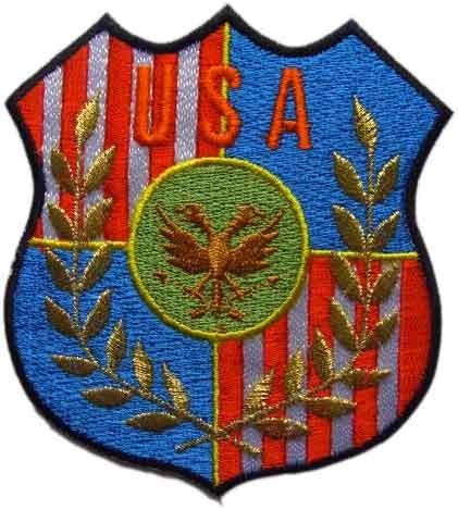 USAコンドル月桂樹ワッペンアイロン接着エンブレム刺繍アメリカ : 刺繍