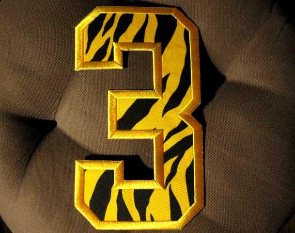 ホットセール - アートトラベルシューズ tiger_01.jpg 応援グッズ