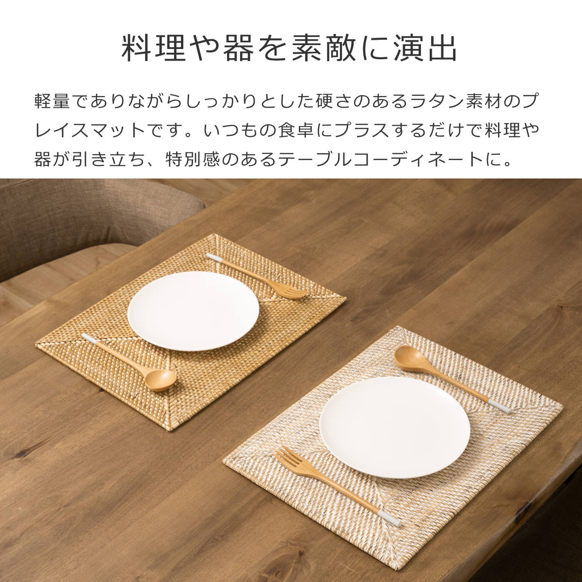 TISECO ティセコ RATTAN Placemat Rectangle ラタン プレイスマット