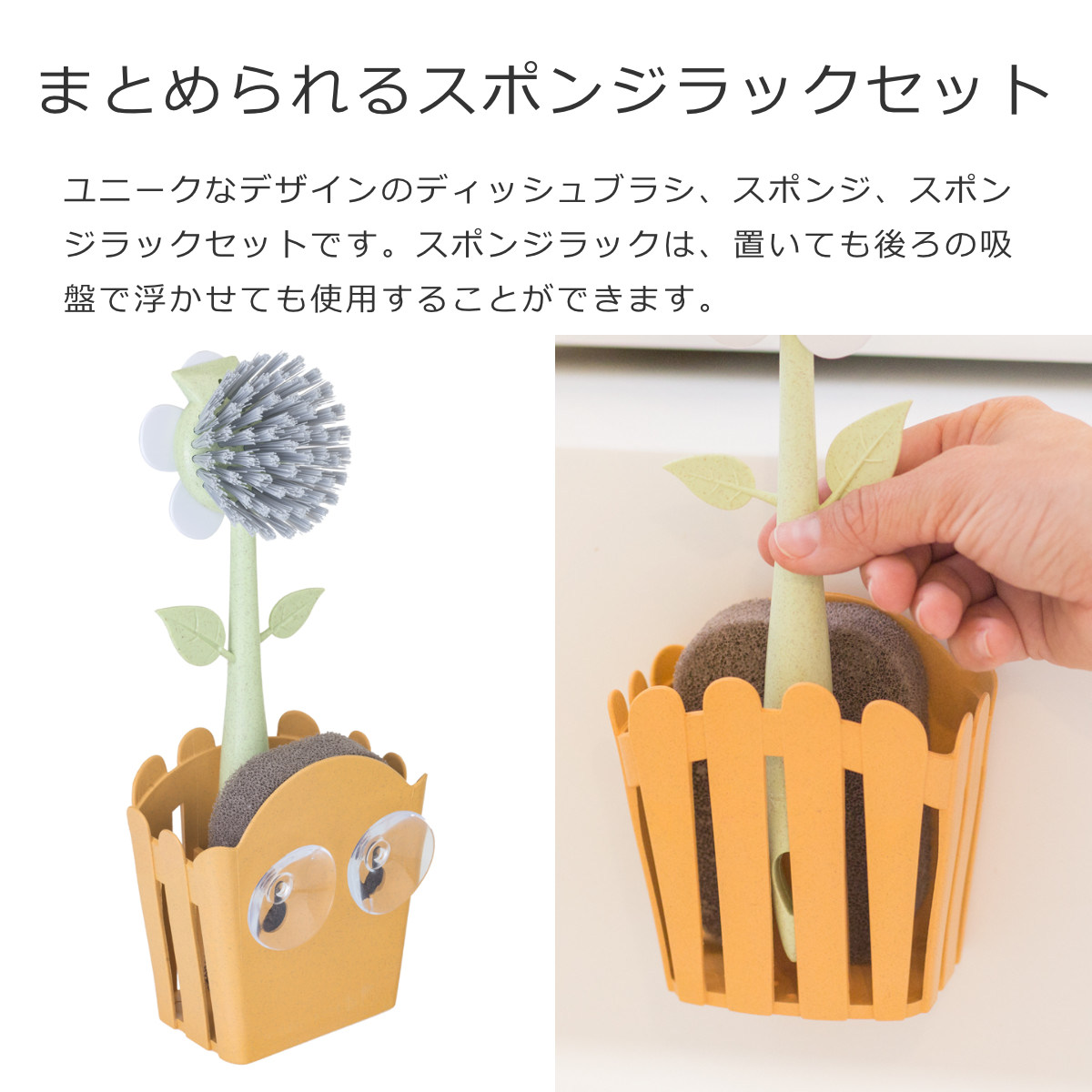 Vigar ヴィガール フローガニック 3ピース シンクキャディセット FLORGANIC 3 Piece Sink Caddy Set （ スポンジホルダー スポンジ置き スポンジ入れ ） | Vigar | 02