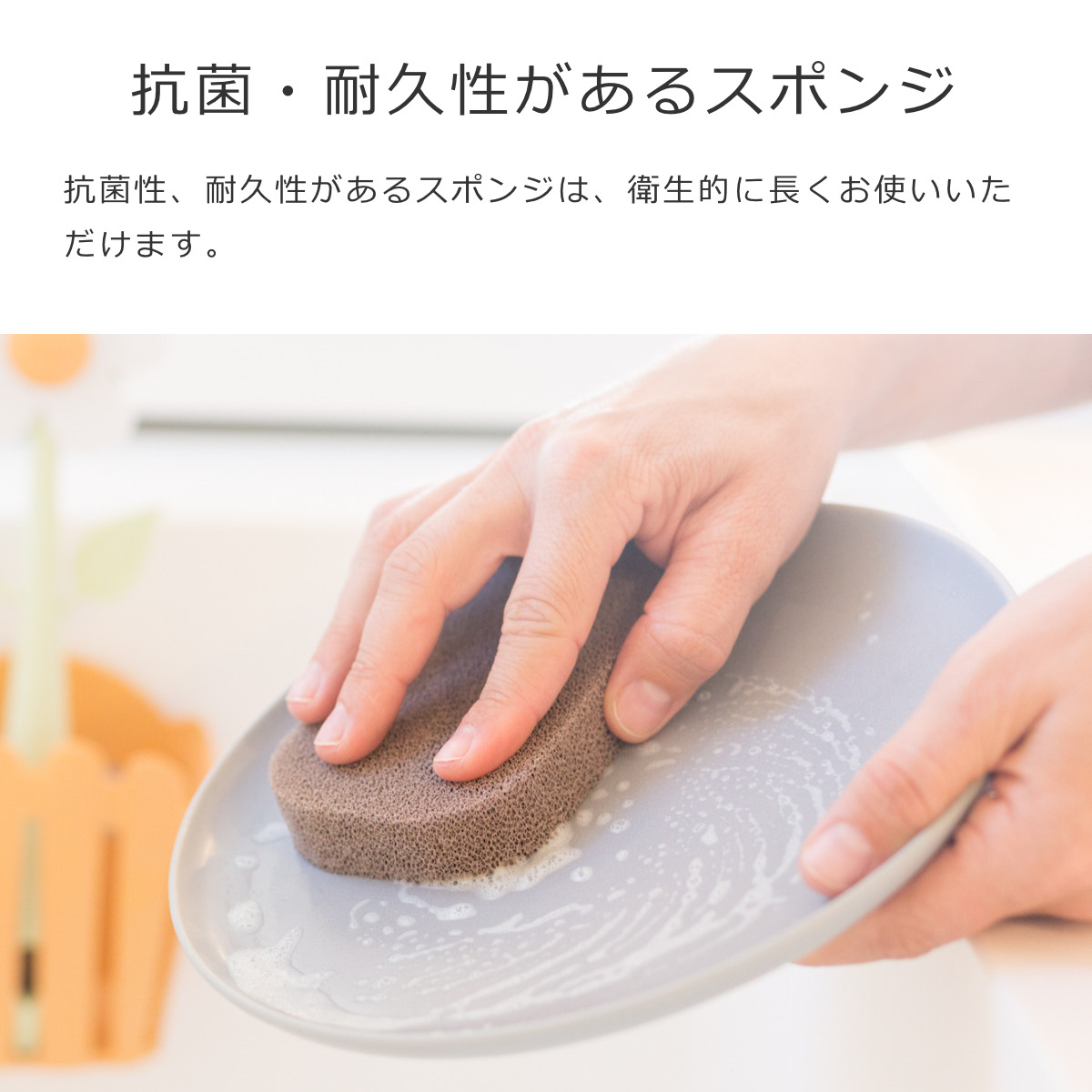 Vigar ヴィガール フローガニック 3ピース シンクキャディセット FLORGANIC 3 Piece Sink Caddy Set （ スポンジホルダー スポンジ置き スポンジ入れ ） | Vigar | 03