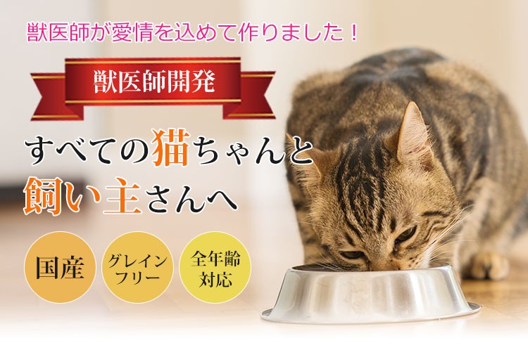 DearMateグレインフリー・キャットフード 鰹＆チキン 100g 初回お試しサンプル 送料無料 獣医師開発 :dmc004:獣医師・宿南章の愛情ごはん療法食  - 通販 - Yahoo!ショッピング