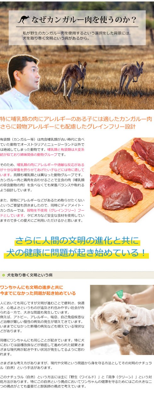 グレインフリー カンガルー 1kg 全犬種用 Dr.宿南のキセキのごはん （旧・DearMate） 国産 ルーミート 犬 : dmd001 :  獣医師・宿南章の愛情ごはん療法食 - 通販 - Yahoo!ショッピング