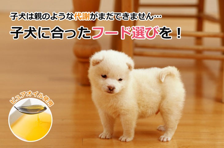 Dr.宿南のキセキのごはん ドッグフード 子犬・パピー用 1歳未満