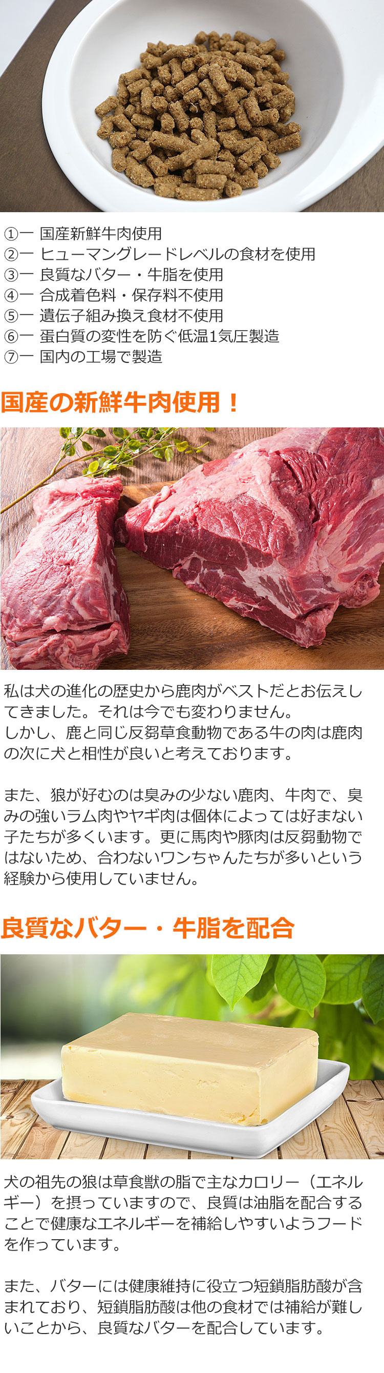 Dr.宿南のキセキのごはん ビーフ（牛肉）ドッグフード 全年齢用 1kg 獣