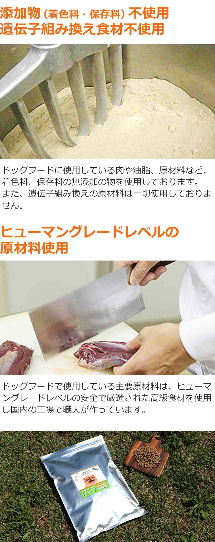 Dr.宿南のキセキのごはん ビーフ（牛肉）ドッグフード 全年齢用 1kg 獣