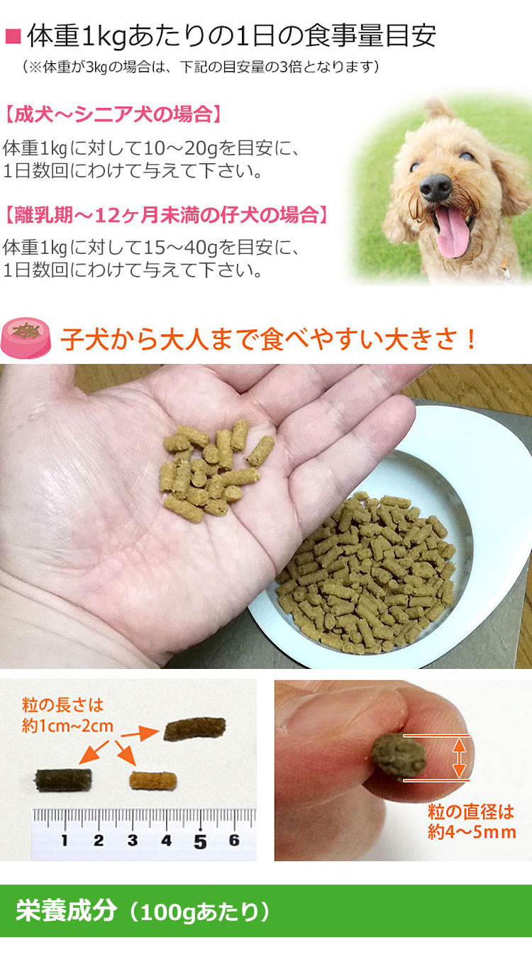 Dr.宿南のキセキのごはん ビーフ（牛肉）ドッグフード 全年齢用 1kg 獣