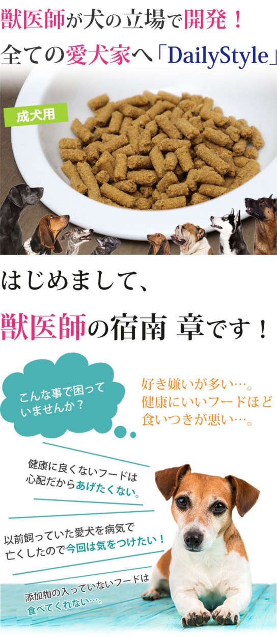 ドッグフード（プレミアム）成犬用 1歳〜7歳未満 100g入り 初回お試しサンプル 送料無料 獣医師開発 Dr.宿南のキセキのごはん 国産 鹿肉  ベニソン 犬