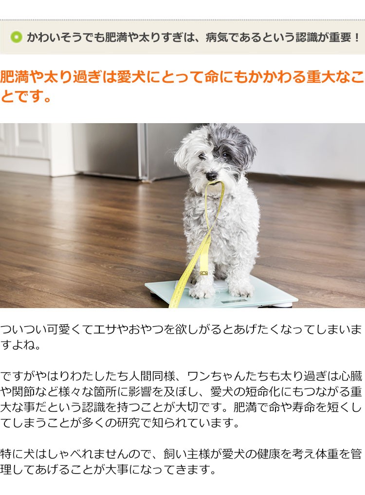 満腹感サポート（減量・ダイエット） 犬用療法食 1kg 獣医師開発 Dr.宿南のキセキのごはん 鹿肉ドッグフード ベニソン 犬 : e062 :  獣医師・宿南章の愛情ごはん療法食 - 通販 - Yahoo!ショッピング