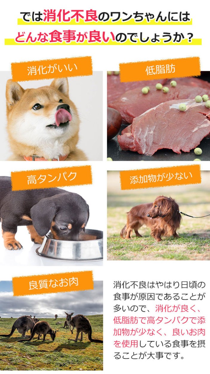 消化器の健康サポート（低脂肪） 1kg 犬用療法食 Dr.宿南のキセキのごはん（旧・DearMate） 獣医師開発 国産 カンガルー肉 犬