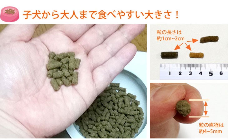 心臓の健康サポート ドッグフード 犬用療法食 1kg ・Dr.宿南のキセキのごはん 獣医師開発 鹿肉ドッグフード ベニソン 犬 : e040 :  獣医師・宿南章の愛情ごはん療法食 - 通販 - Yahoo!ショッピング