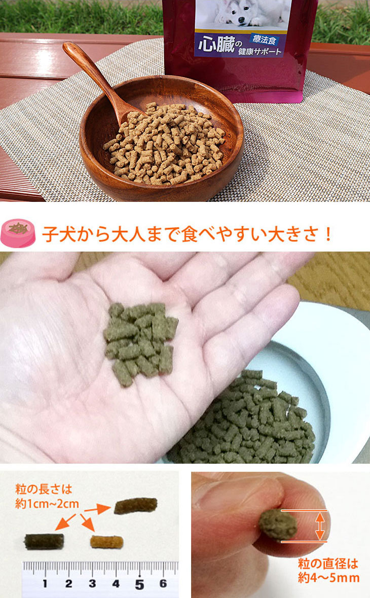 Dr.宿南のキセキのごはん 心臓の健康サポート ドッグフード 犬用療法食