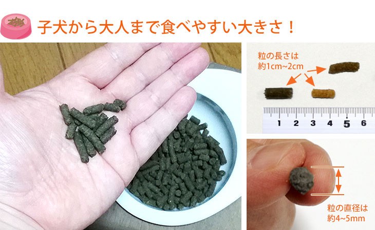 Dr.宿南のキセキのごはん 膵臓の健康サポート ドッグフード 犬用