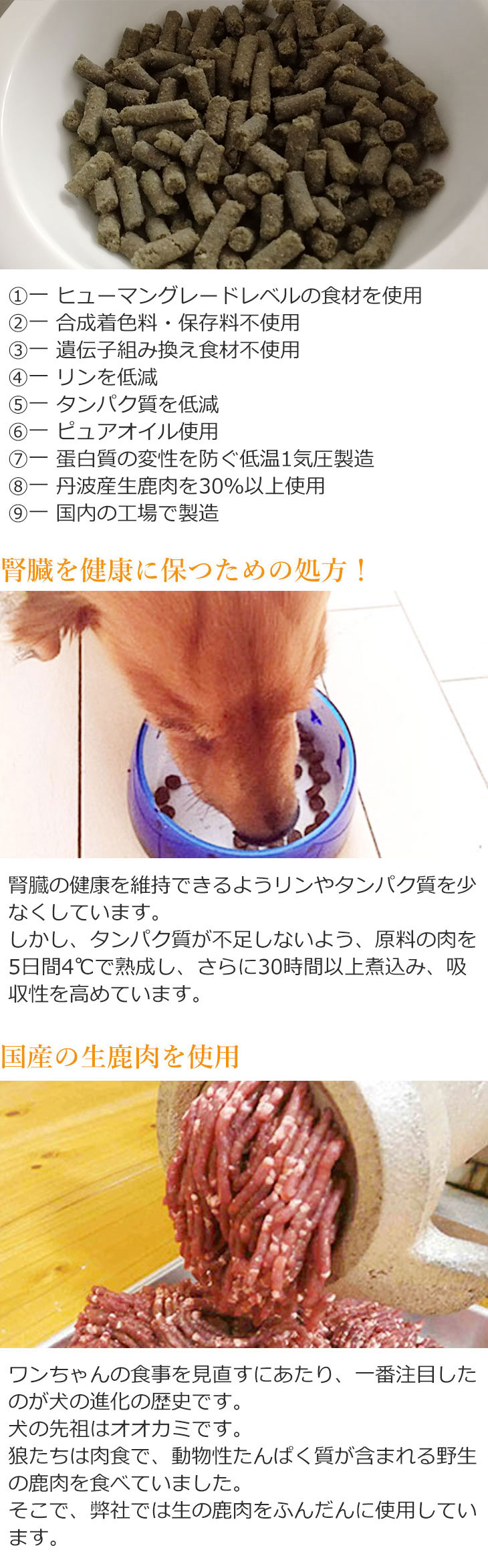 Dr.宿南のキセキのごはん 【定期購入】ドッグフード 腎臓の健康