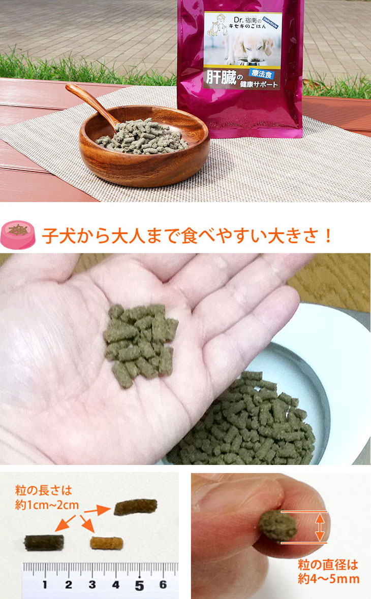 Dr.宿南のキセキのごはん 肝臓の健康サポート ドッグフード 犬用療法食