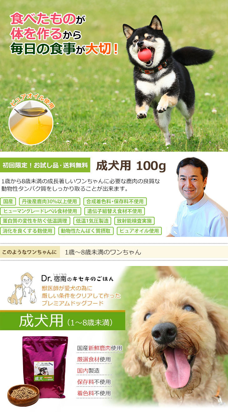 Dr.宿南のキセキのごはん ドッグフード（プレミアム）成犬用 1〜8歳