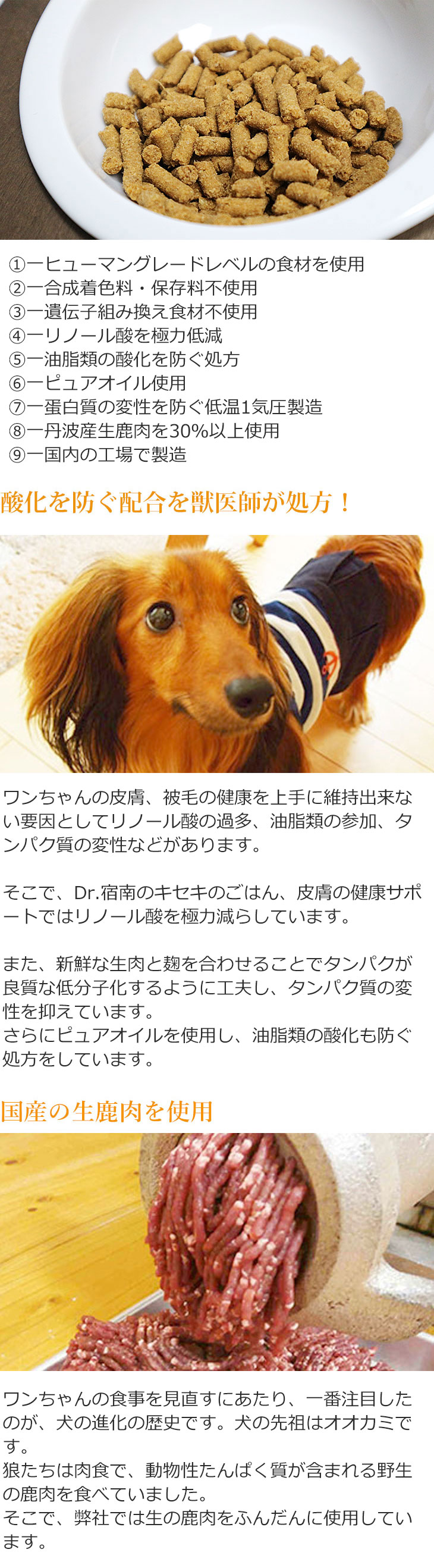 Dr.宿南のキセキのごはん ドッグフード 皮膚の健康サポート 犬用療法食