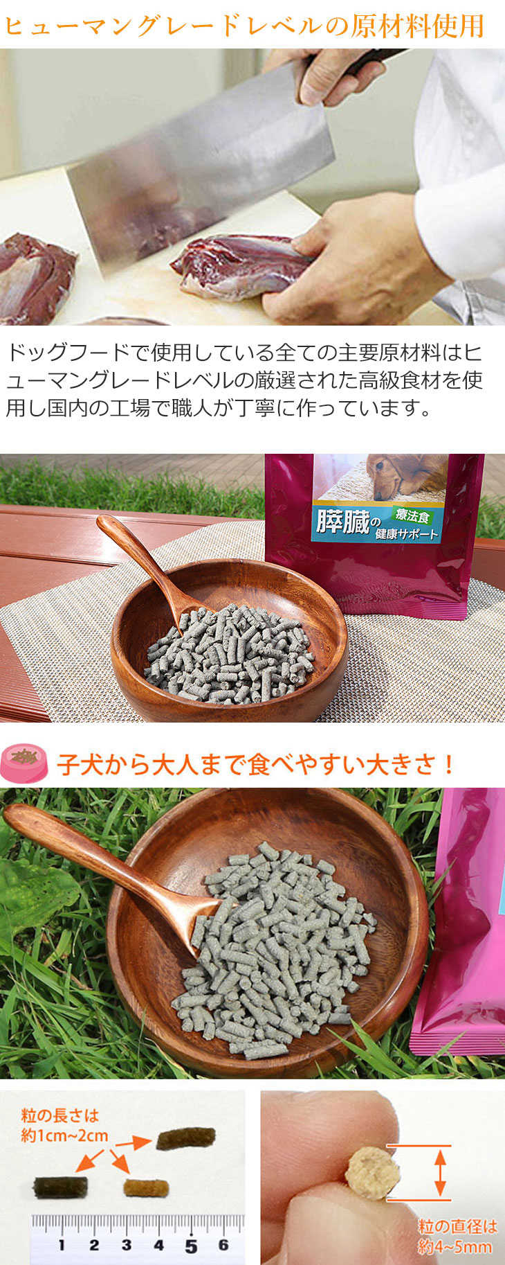 Dr.宿南のキセキのごはん 膵臓の健康サポート ドッグフード 犬用療法食