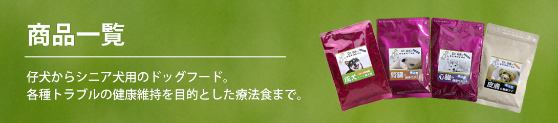 タイトル画像