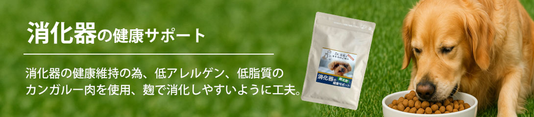 タイトル画像