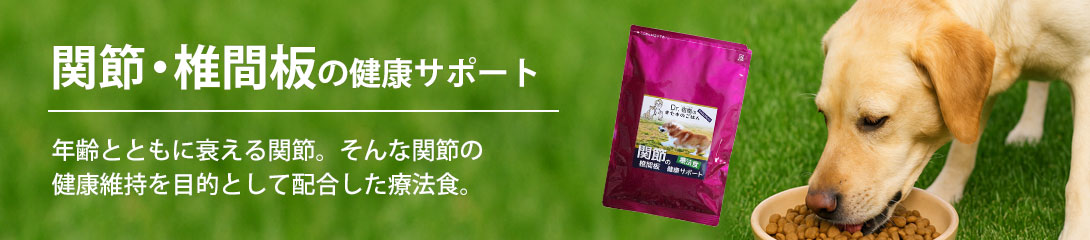 タイトル画像