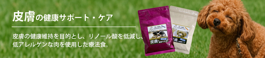 タイトル画像