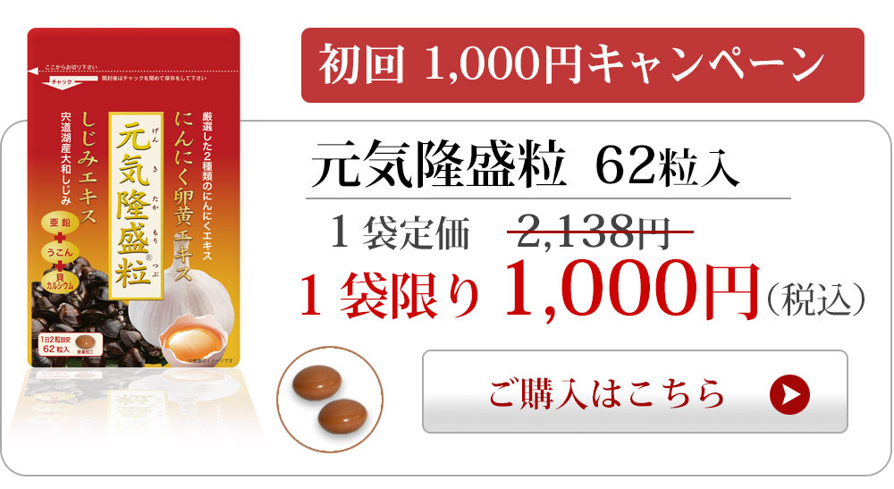 元気隆盛粒1000円飛ぶバナー