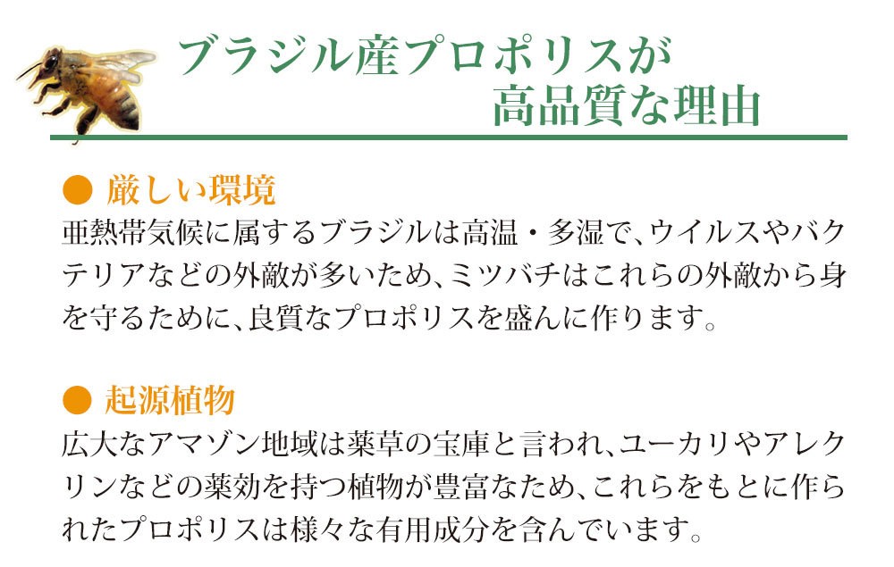 ブラジル産プロポリスは良質で有用成分を多く含む