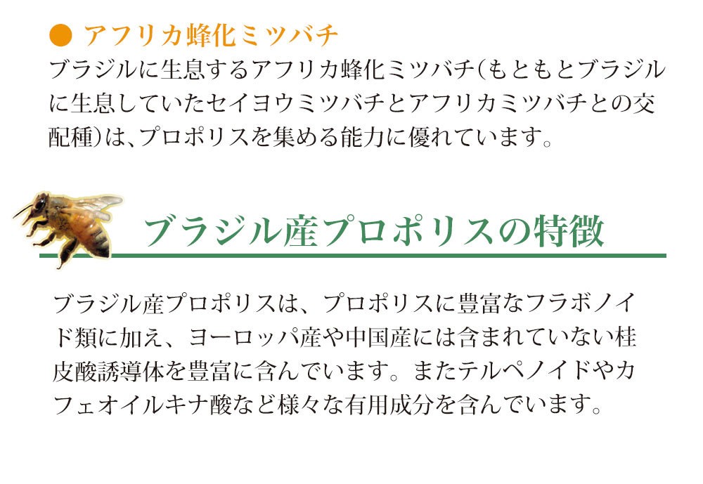 フラボノイドなどを多く含む