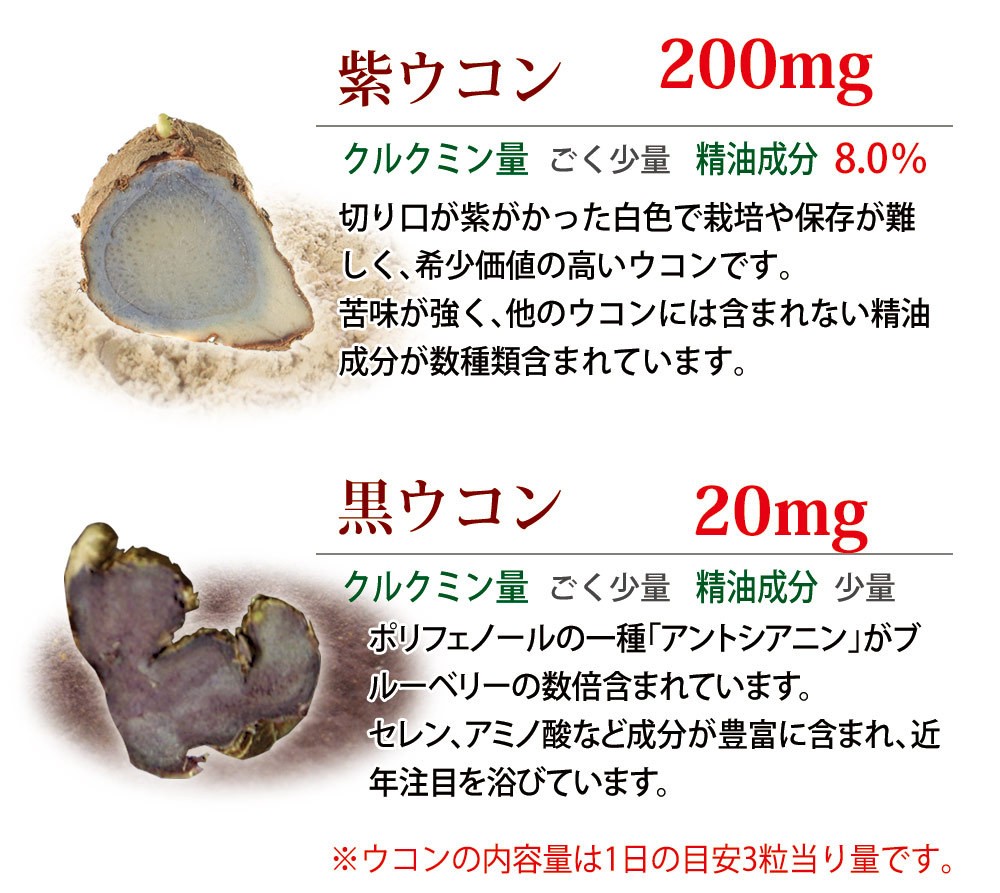 4種類のウコン 90粒入×6袋セット（約6ヶ月分） 春ウコン 秋