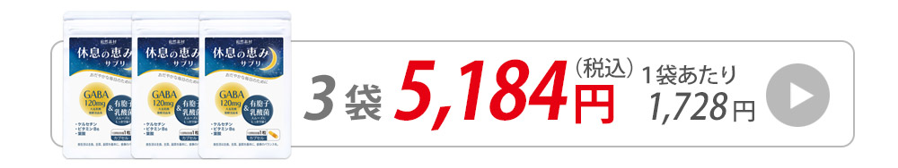 休息ギャバ30粒3袋へ購入へ飛ぶバナー