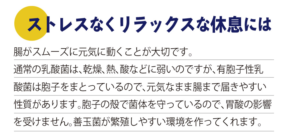 リラックスするには乳酸菌