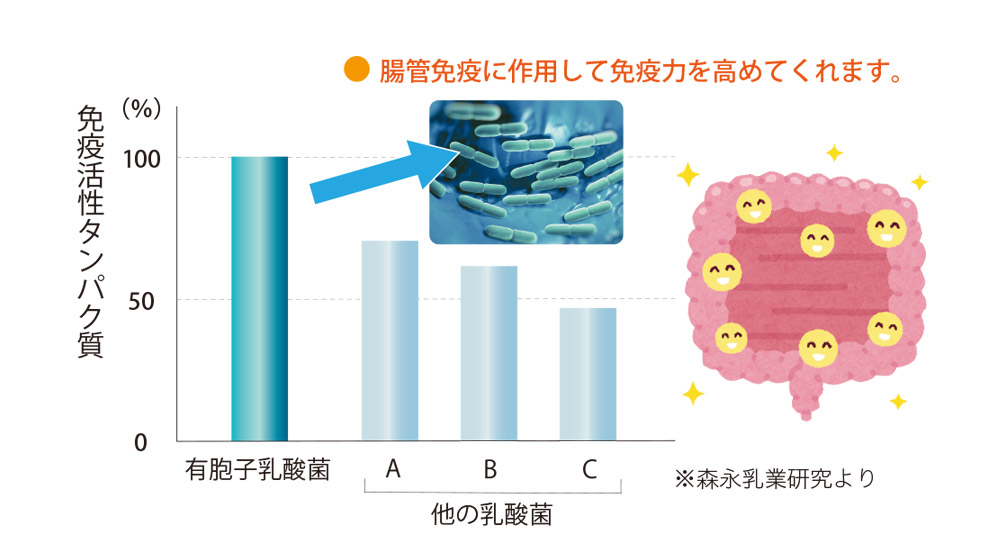 有胞子乳酸菌のグラフ