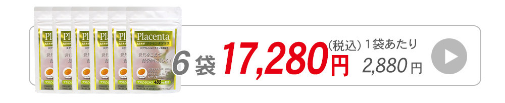 プラセンタ6袋