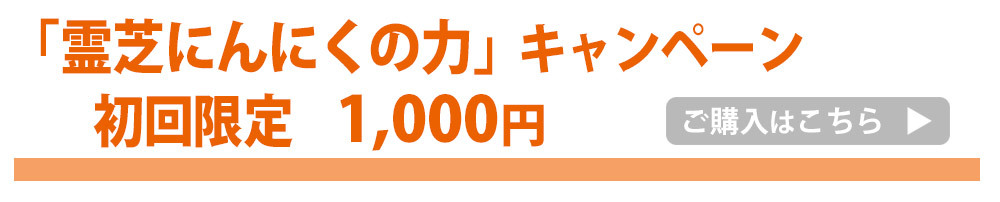 霊芝にんにくの力1000円飛ぶバナー