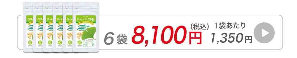 DHA・イチョウ葉プラス 80粒入×6袋（約8カ月分）DHA EPA オメガ３