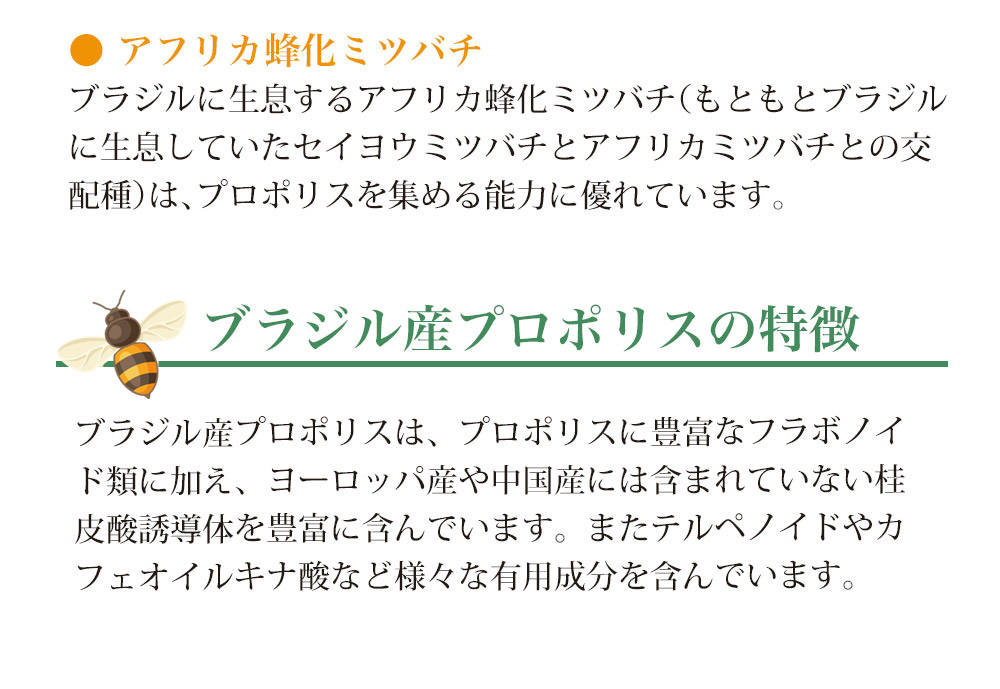 フラボノイドなどを多く含む