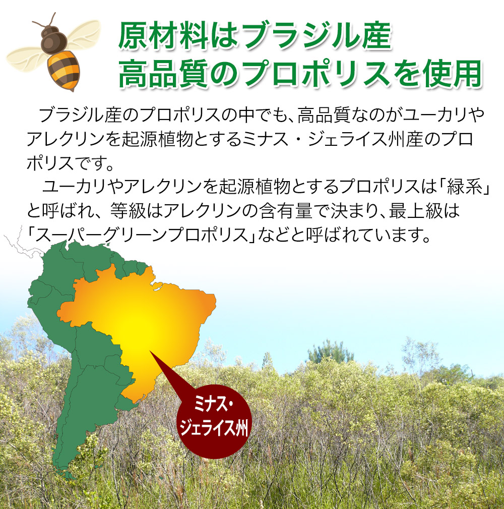 ブラジル産プロポリスは有効成分が多い