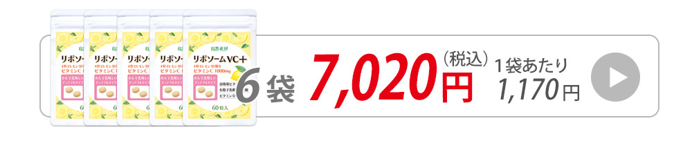 リポソーム60粒6袋へ購入へ飛ぶバナー