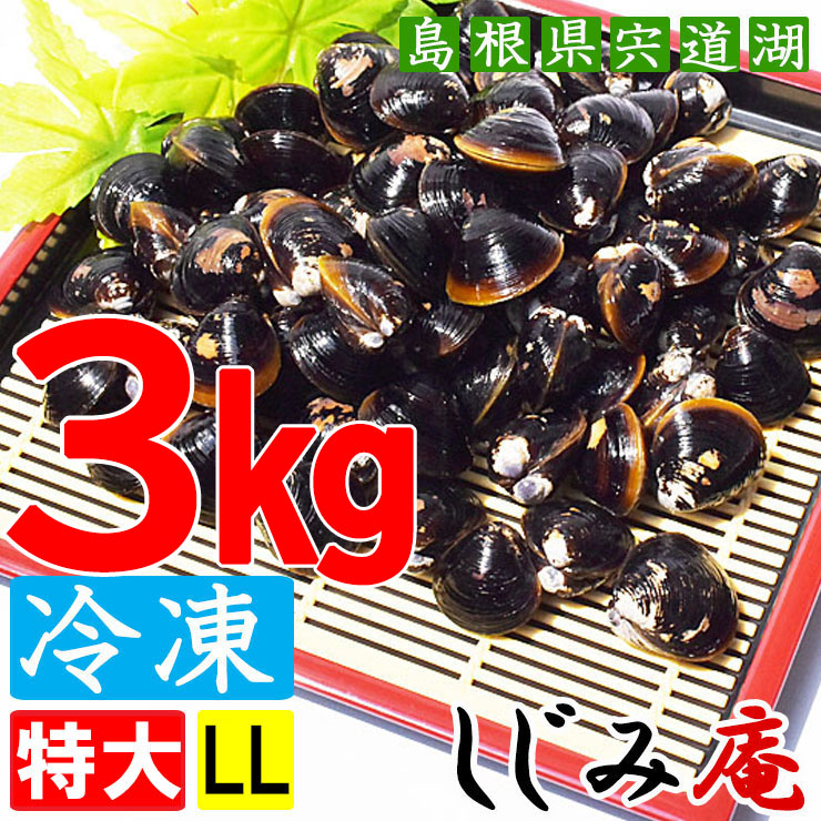 しじみ 冷凍 LL 3Kg 宍道湖産 シジミ 砂抜き済み シジミ汁