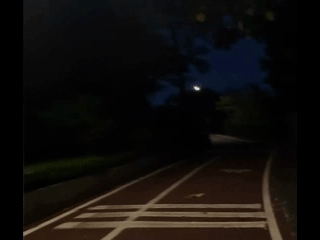 GIF動画3