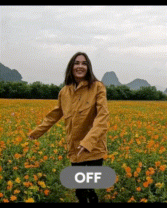 GIF動画1