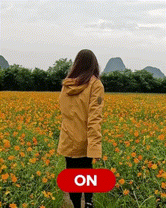 GIF動画2
