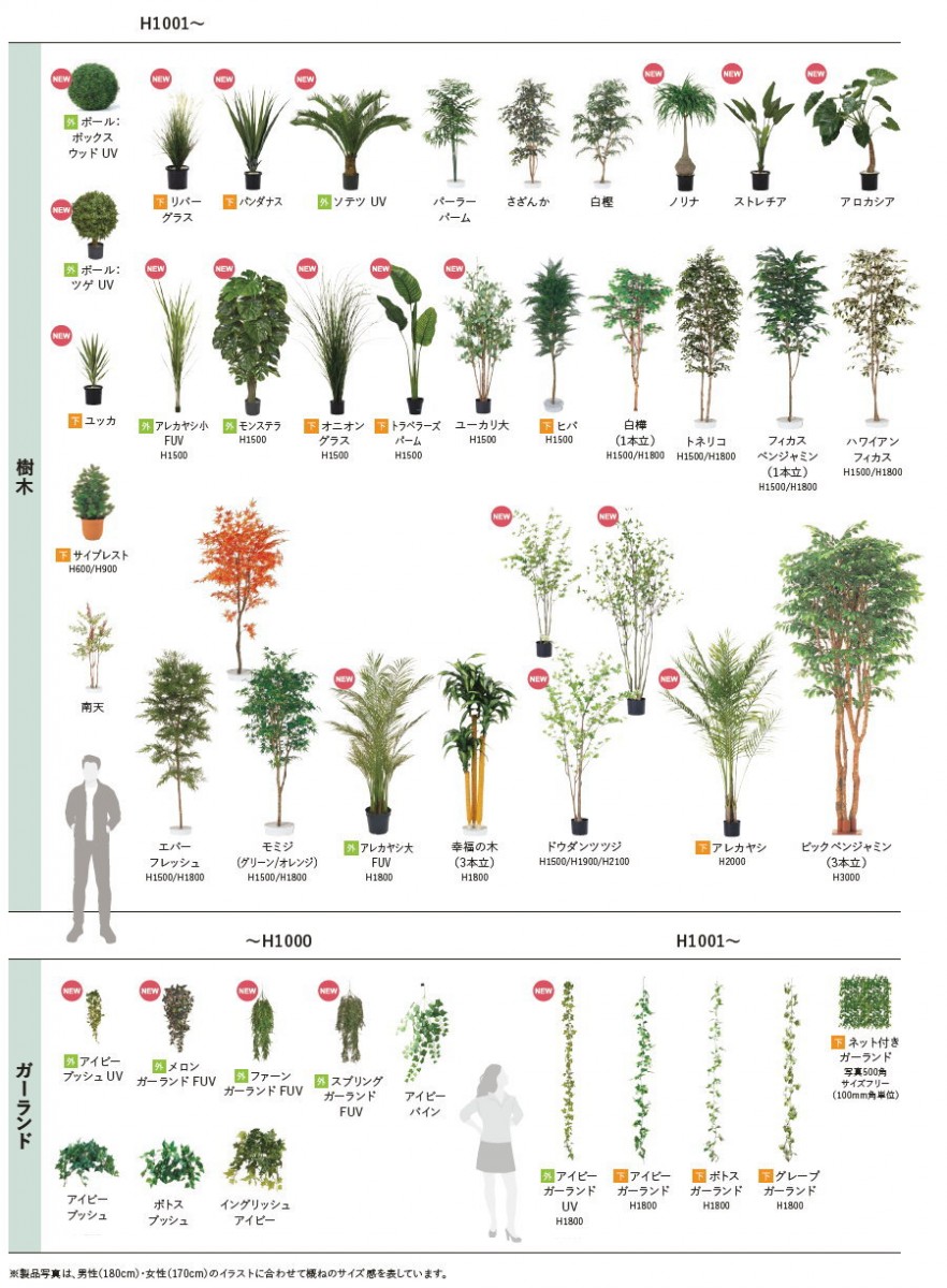 人工植物 グローベン リフェイクグリーン 幸福の木（3本立） 樹木