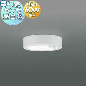 ko13-51-ah50466-c1.jpg
