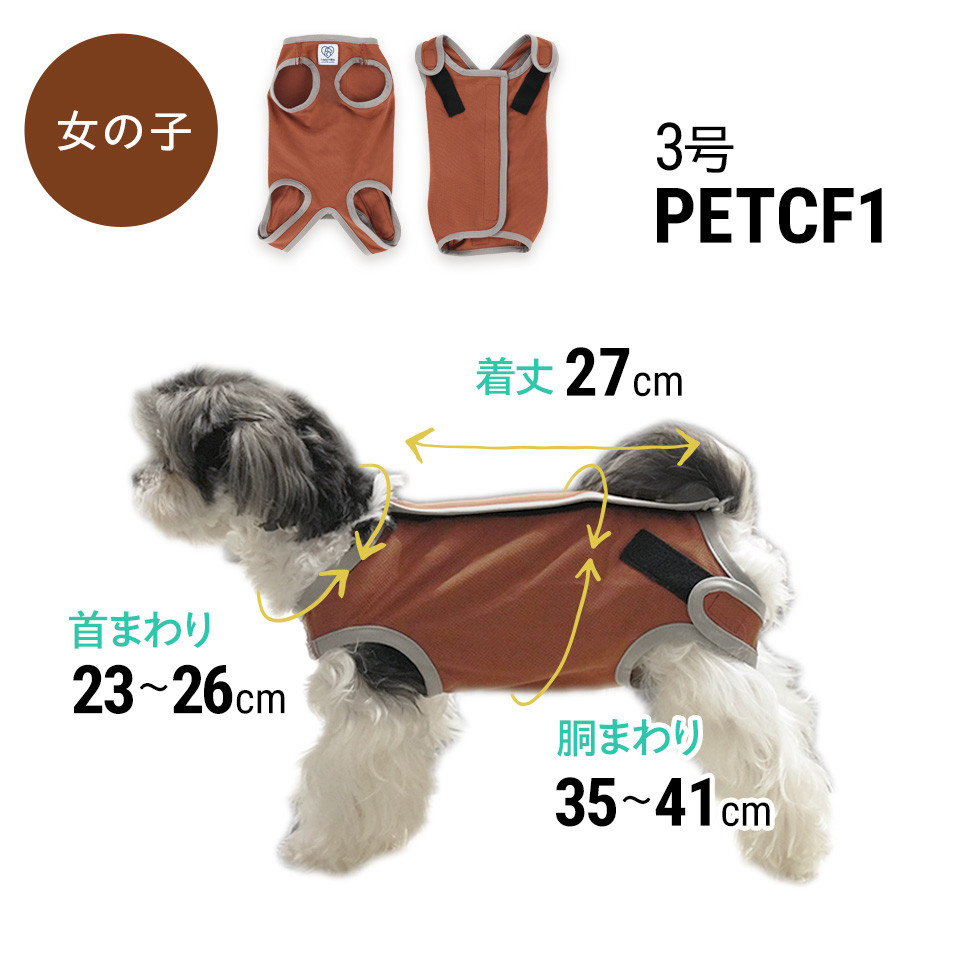 シュナ＊ハッピー君 ポメ＊むぎちゃん チワワ＊らい君、のあ君