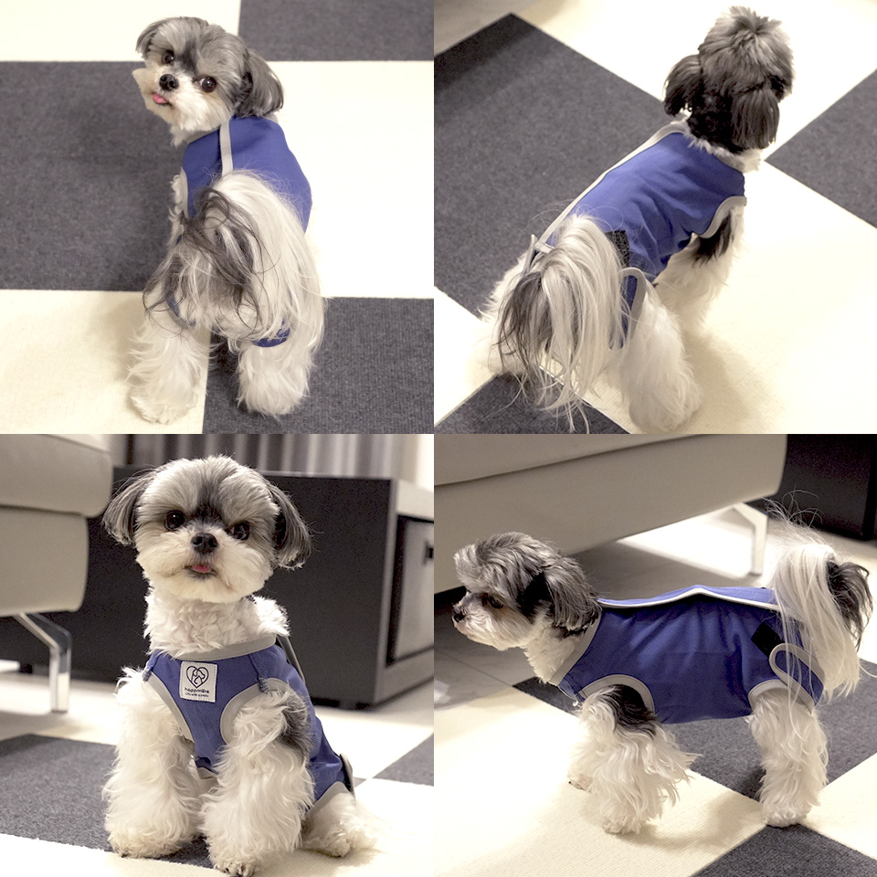 スケーター ペット用 術後服 犬 男の子用 4号 ネイビー 大阪公立大学と